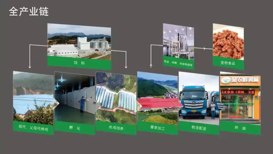 乐鱼(中国电子)·LEYU官方网站