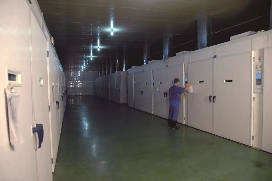 乐鱼(中国电子)·LEYU官方网站