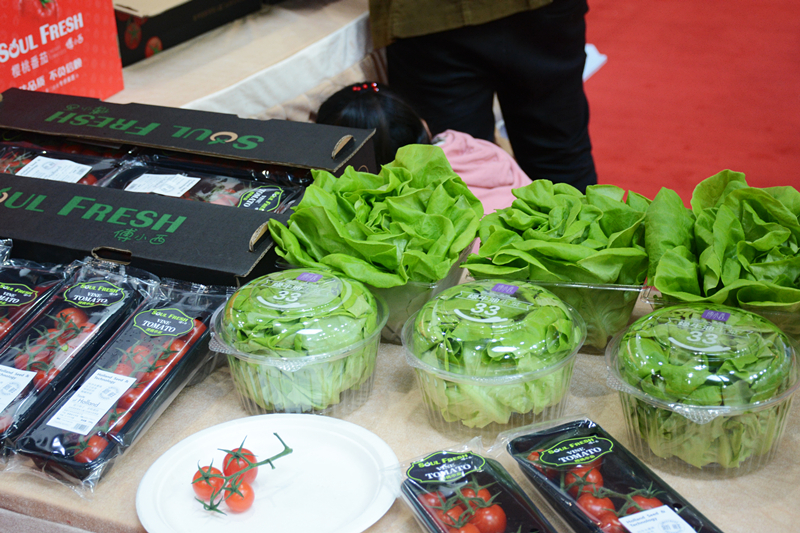 乐鱼(中国电子)·LEYU官方网站