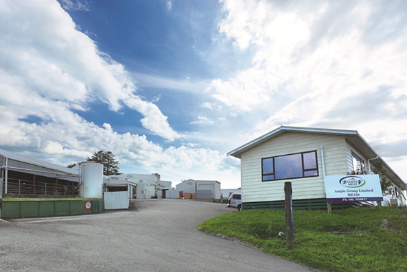 乐鱼(中国电子)·LEYU官方网站