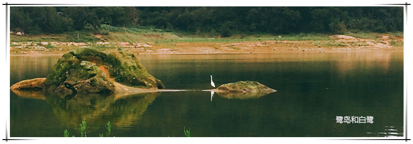 乐鱼(中国电子)·LEYU官方网站