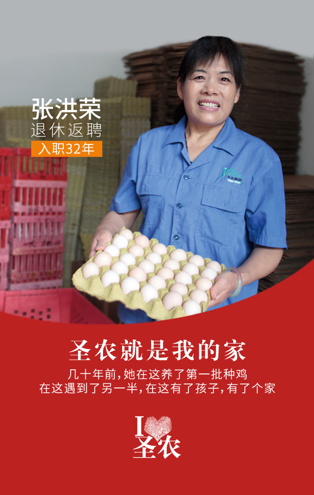 乐鱼(中国电子)·LEYU官方网站