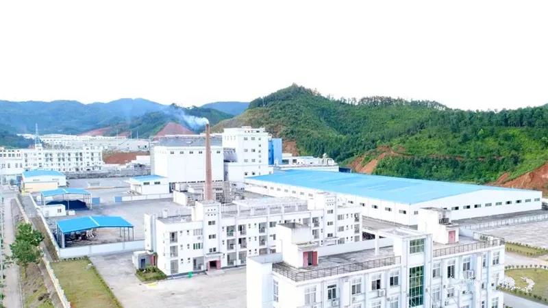 乐鱼(中国电子)·LEYU官方网站