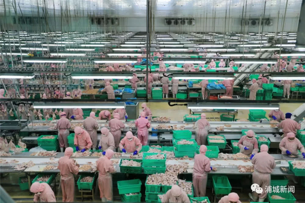 乐鱼(中国电子)·LEYU官方网站