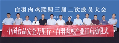 乐鱼(中国电子)·LEYU官方网站