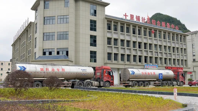 乐鱼(中国电子)·LEYU官方网站