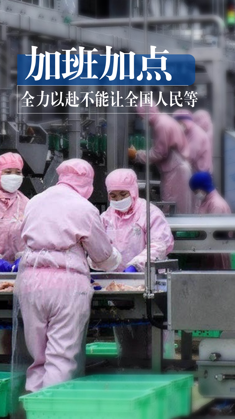 乐鱼(中国电子)·LEYU官方网站