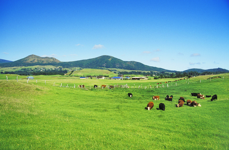 乐鱼(中国电子)·LEYU官方网站