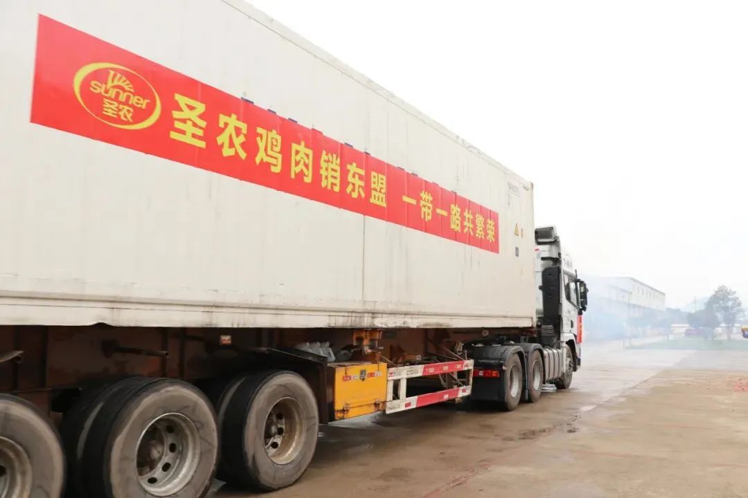 乐鱼(中国电子)·LEYU官方网站